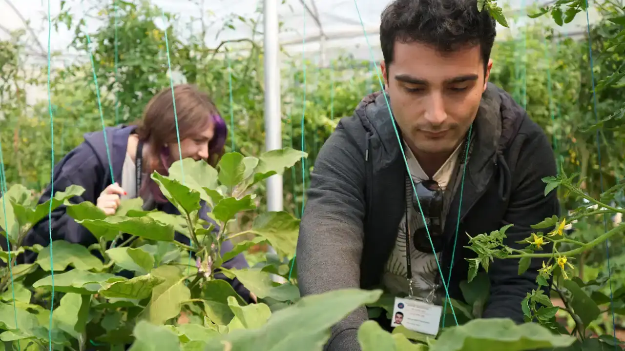 Akdeniz Üniversitesi’nde 'Maaşlı Terapi' Dönemi 6